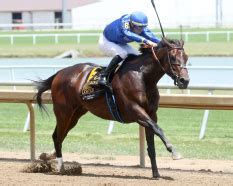 pinayflix mari cabrera|Horseshoe Indianapolis R4 Race 4 .